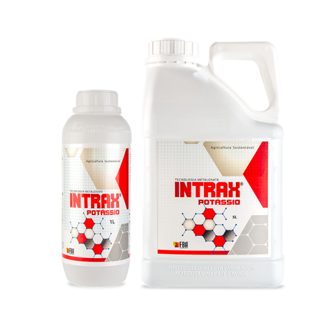 Intrax Potássio
